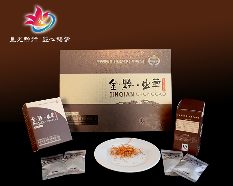 贵州安顺金黔虫草有限公司