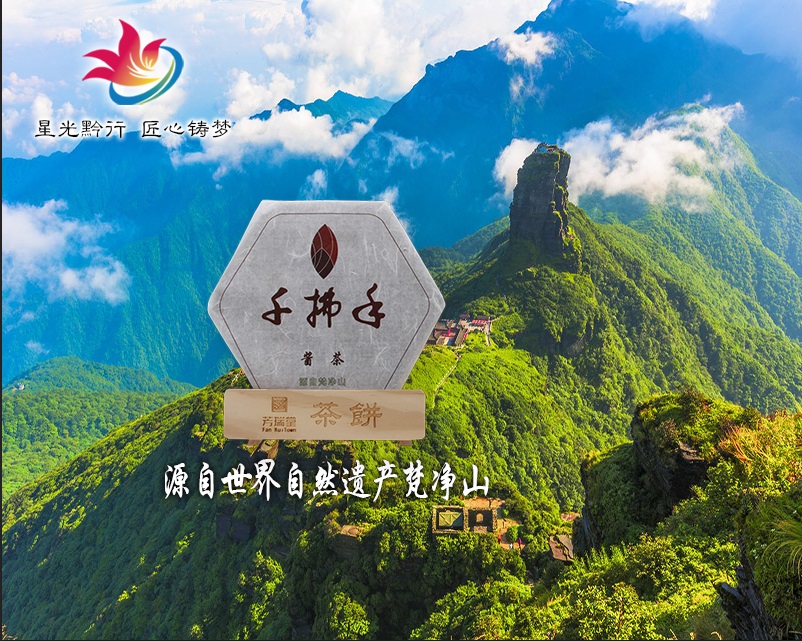 贵州芳瑞堂生物科技有限公司